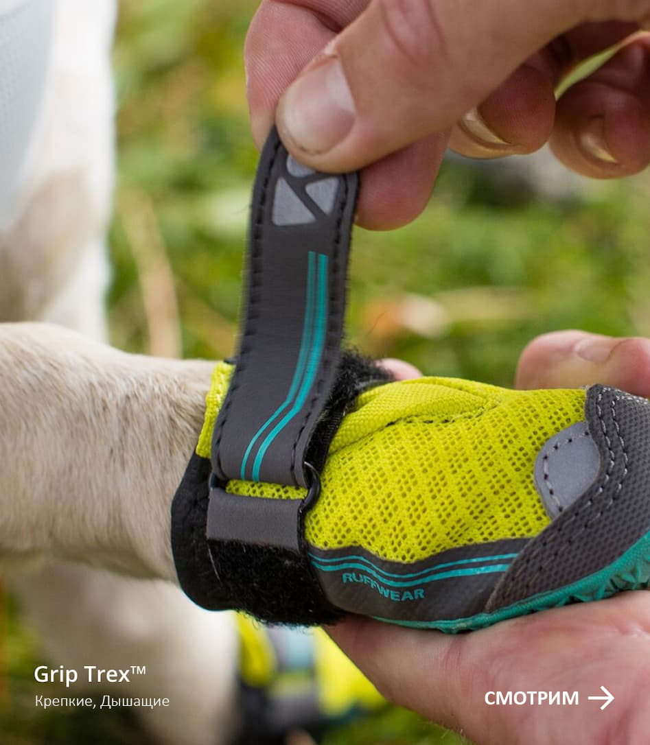 A human helps their dog put on a pair Grip Trex™ Boots. Words read: Grip Trex™ Boots, Rugged, Breathable. SHOP