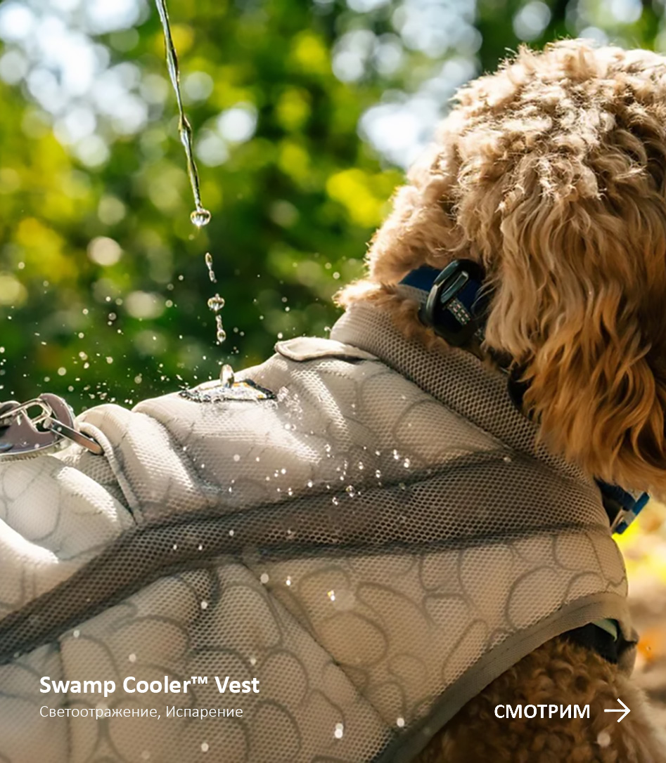 A human pours water onto a dog's Swamp Cooler™ Neck Gaiter. Words read: Swamp Cooler™ Neck Gaiter. Reversible, Cooling Accessory. SHOP