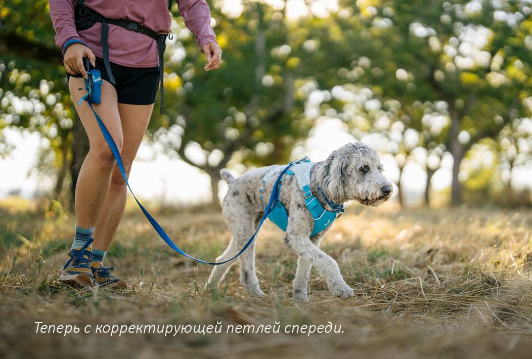 A human walks with a dog wearing the Swamp Cooler Harness