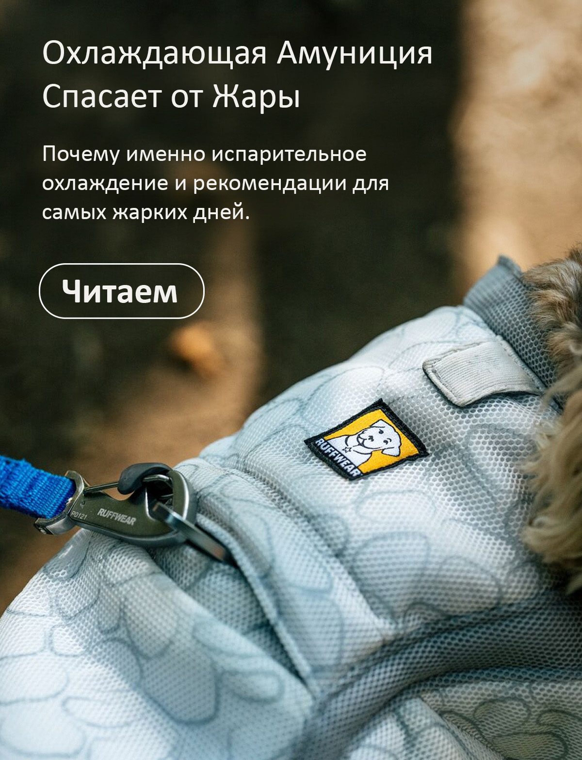 Beat the heat with the Swamp Cooler™ Collection. Read more about how dogs benefit from evaporative cooling.