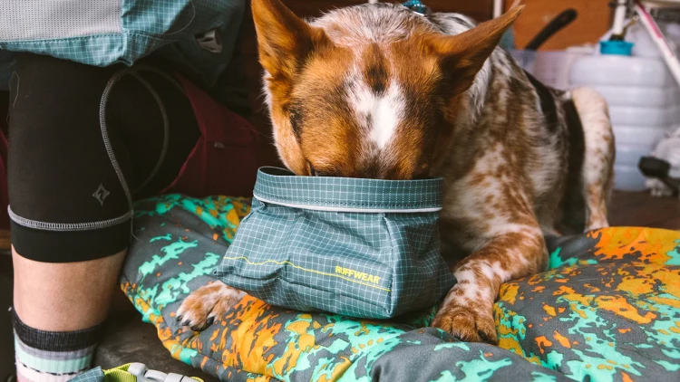 Походная, складывающаяся миска Ruffwear® Great Basin™ Dog Bowl