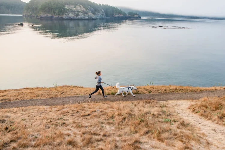 Шлея Ruffwear® Front Range®