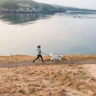 Шлея Ruffwear® Front Range®