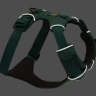 Шлея Ruffwear® Front Range®