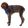 Шлея Ruffwear® Front Range®