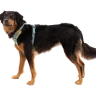 Шлея Ruffwear® Front Range®
