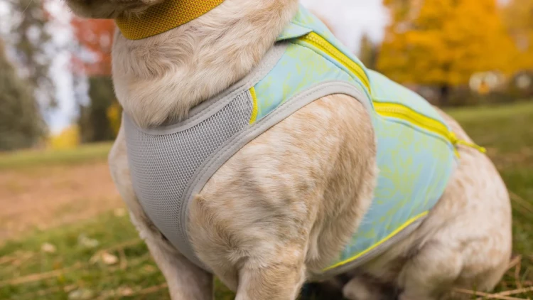 Swamp Cooler Zip™ Охлаждающий жилет 