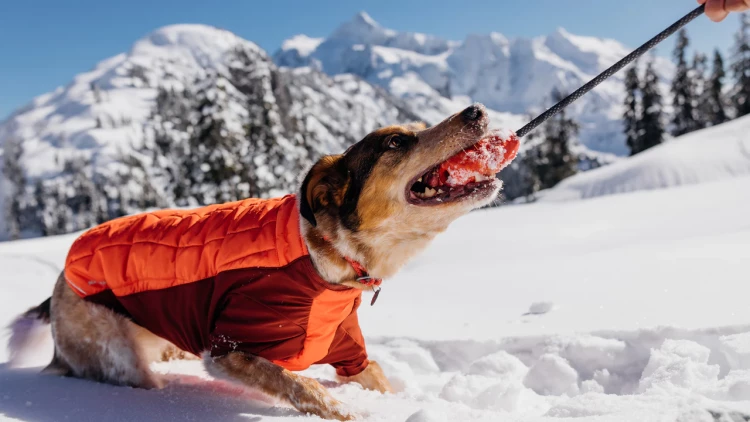 Ruffwear® HUCK-A-CONE™ - рельефная резиновая интерактивная игрушка