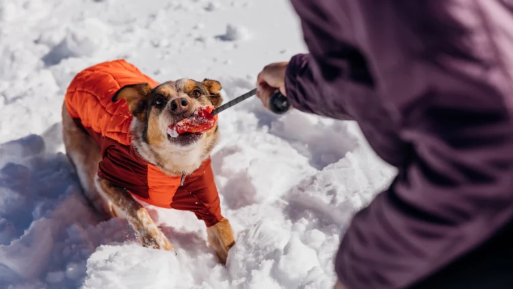 Ruffwear® HUCK-A-CONE™ - рельефная резиновая интерактивная игрушка