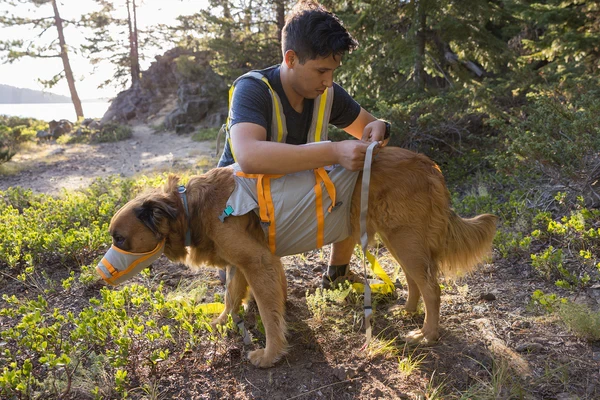 Ruffwear® BackTrak Evac Kit™ — набор для экстренной эвакуации
