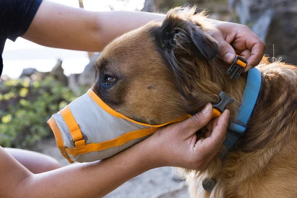 Ruffwear® BackTrak Evac Kit™ — набор для экстренной эвакуации