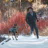 RUFFWEAR® Bark’n Boot™ Dog Socks™ Носки для собак (комплект 4 шт.)