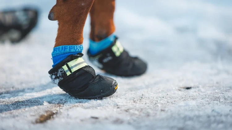 RUFFWEAR® Bark’n Boot™ Dog Socks™ Носки для собак (комплект 4 шт.)