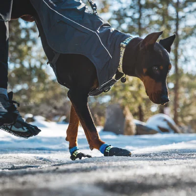 RUFFWEAR® Bark’n Boot™ Dog Socks™ Носки для собак (комплект 4 шт.)