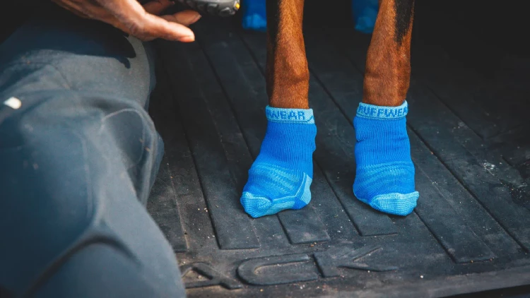 RUFFWEAR® Bark’n Boot™ Dog Socks™ Носки для собак (комплект 4 шт.)
