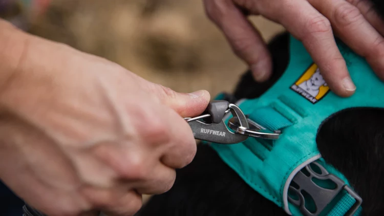 Ruffwear® Front Range™ поводок - пара 2024