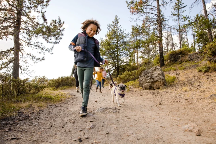 Ruffwear® Front Range™ поводок - пара 2024