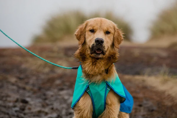 Ruffwear® Sun Shower™ дождевик