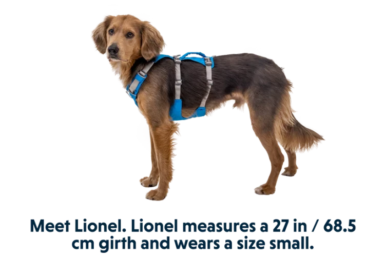 Ruffwear® Flagline комбинированная шлея 