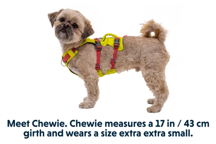 Ruffwear® Flagline комбинированная шлея 