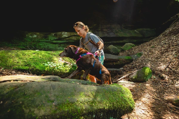 Ruffwear® Flagline комбинированная шлея 