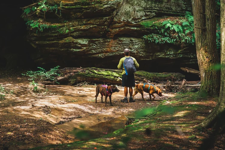 Ruffwear® Flagline комбинированная шлея 