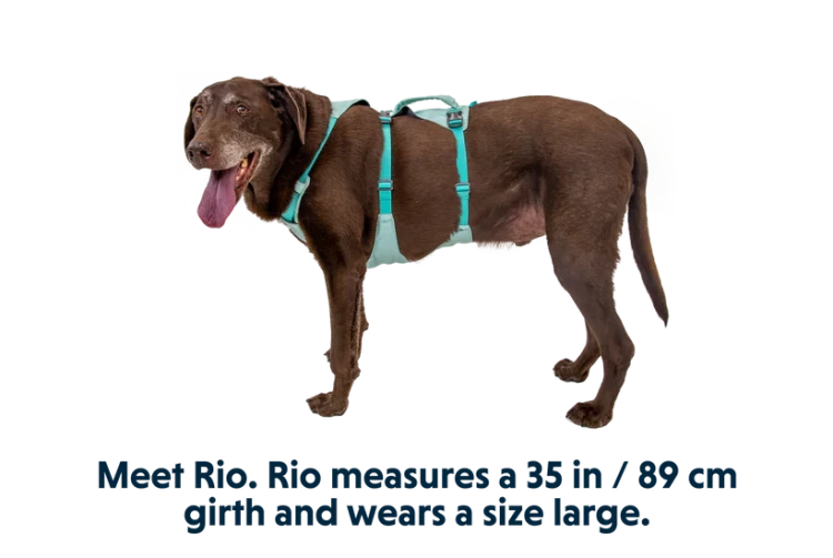 Ruffwear® Flagline комбинированная шлея 
