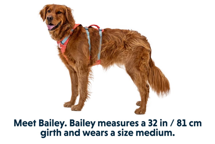 Ruffwear® Flagline комбинированная шлея 