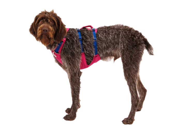 Ruffwear® Flagline комбинированная шлея 
