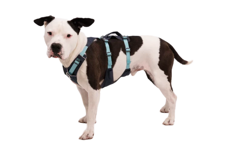 Ruffwear® Flagline комбинированная шлея 