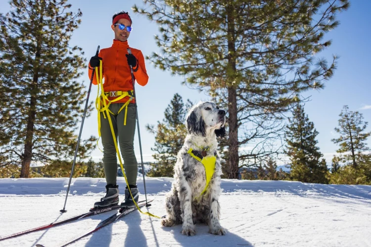 RUFFWEAR® Omnijore™ Joring System профессиональный комплект - система 