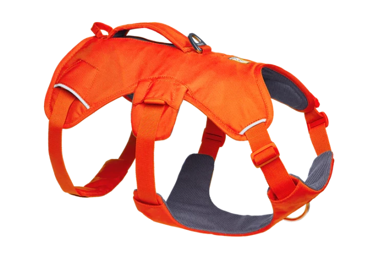 Шлея RUFFWEAR® Web Master™ 2025