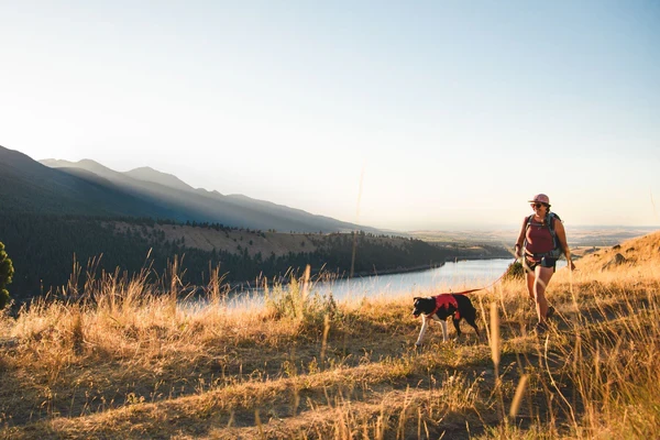 Шлея RUFFWEAR® Web Master™ 2025