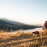 Шлея RUFFWEAR® Web Master™ 2025