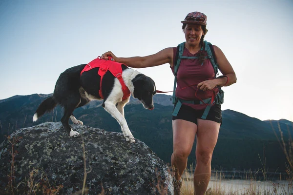 Шлея RUFFWEAR® Web Master™ 2025