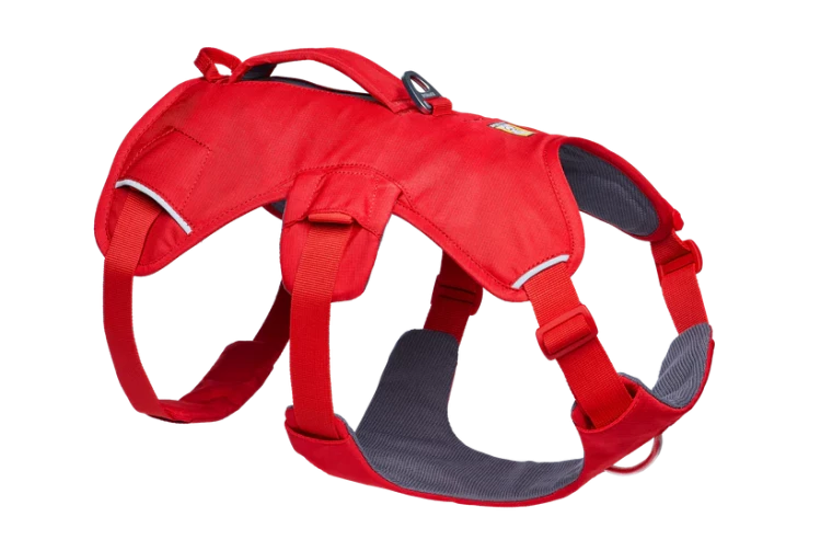 Шлея RUFFWEAR® Web Master™ 2025