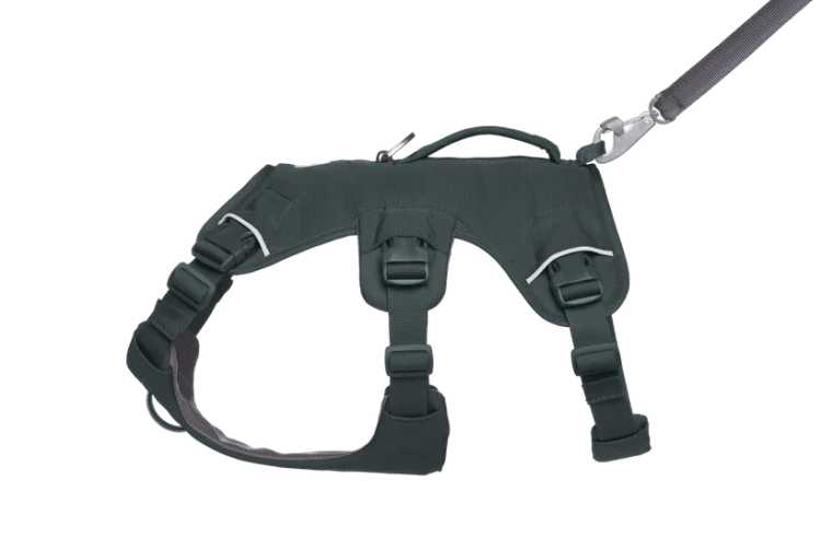 Шлея RUFFWEAR® Web Master™ 2025