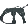 Шлея RUFFWEAR® Web Master™ 2025