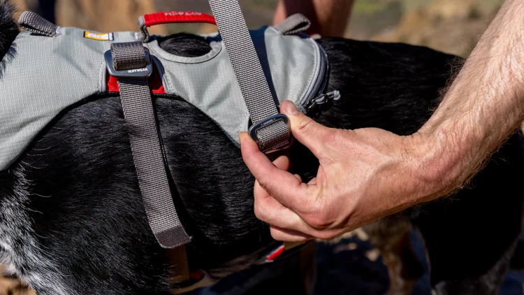 Шлея RUFFWEAR® DoubleBack™ Harness