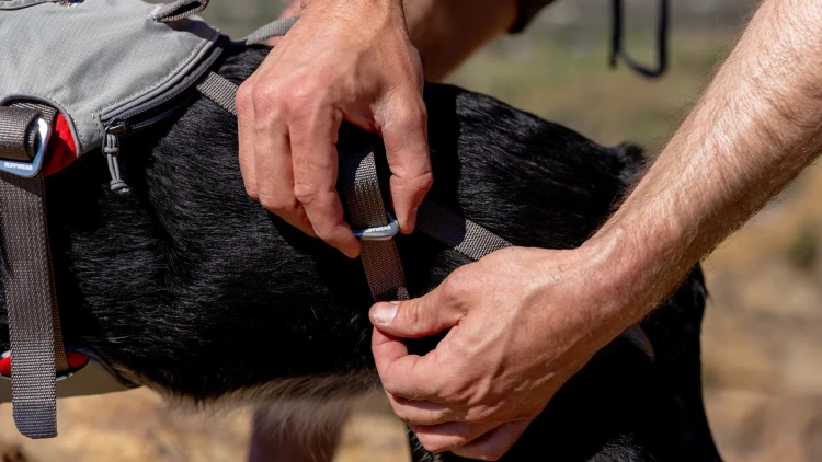 Шлея RUFFWEAR® DoubleBack™ Harness