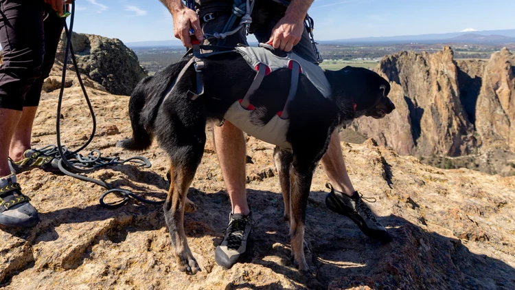 Шлея RUFFWEAR® DoubleBack™ Harness