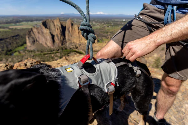 Шлея RUFFWEAR® DoubleBack™ Harness