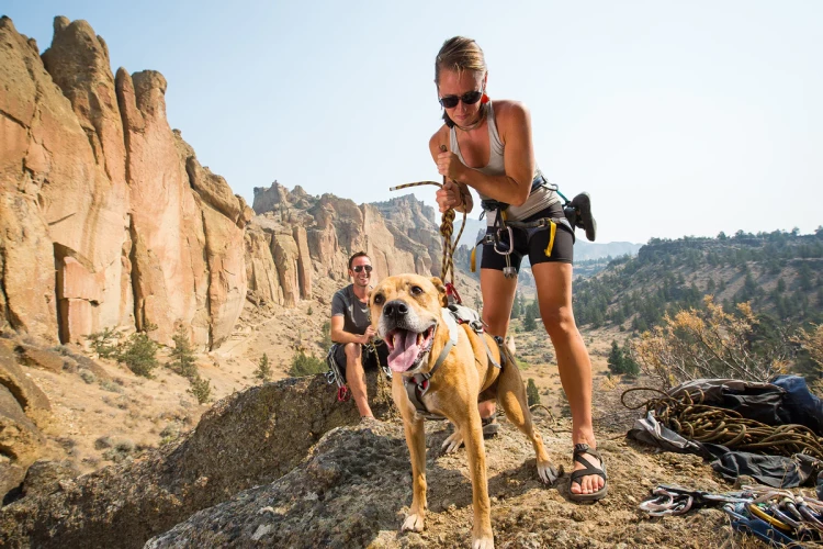 Шлея RUFFWEAR® DoubleBack™ Harness