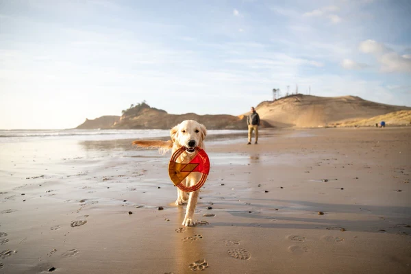 Ruffwear® Pacific Ring™ - интерактивная игрушка