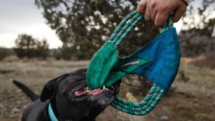 Ruffwear® Pacific Ring™ - интерактивная игрушка