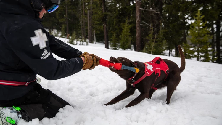 Ruffwear® Pacific Loop™ - интерактивная игрушка