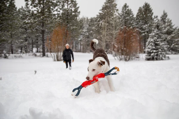 Ruffwear® Pacific Loop™ - интерактивная игрушка