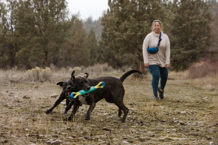 Ruffwear® Pacific Loop™ - интерактивная игрушка