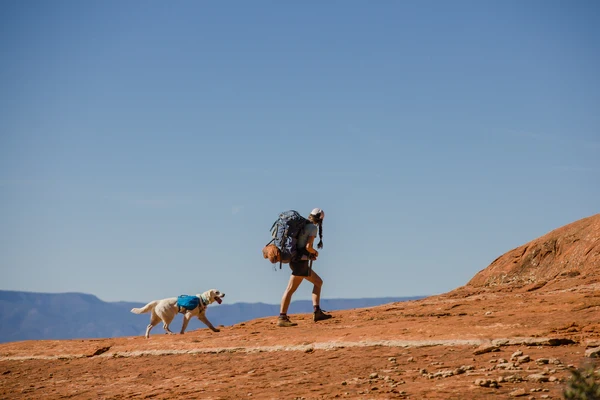 RUFFWEAR® Approach Pack™ рюкзак для собак 