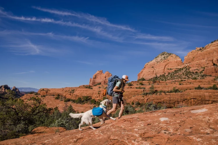RUFFWEAR® Approach Pack™ рюкзак для собак 